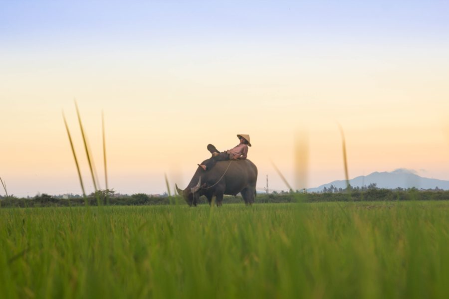 kiril-dobrev-UB0QiVPsXgc-unsplash