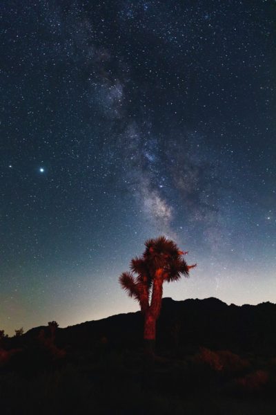oxxaca-4e3s_8jJhlM-unsplash