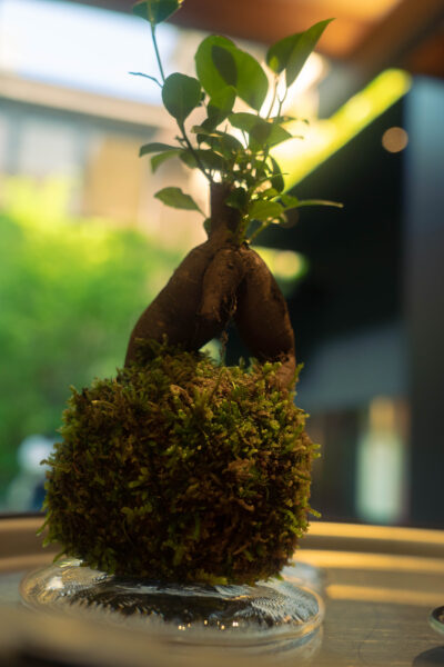 アヤ新風館-6