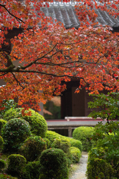 金剛輪寺-34